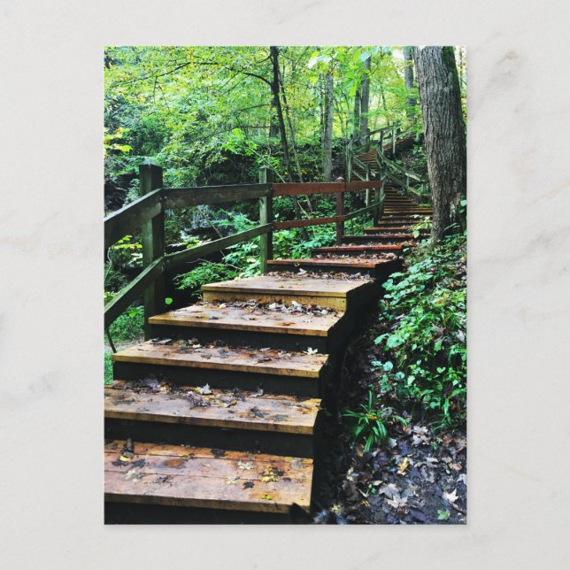 Carte Postale escalier du parc d'état des grottes maquoketa (Devant)
