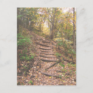 Carte Postale Escaliers Dans La Forêt