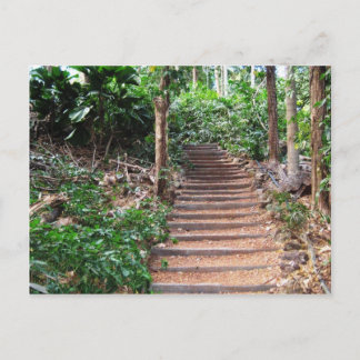 Carte Postale Escaliers dans leur habitat naturel