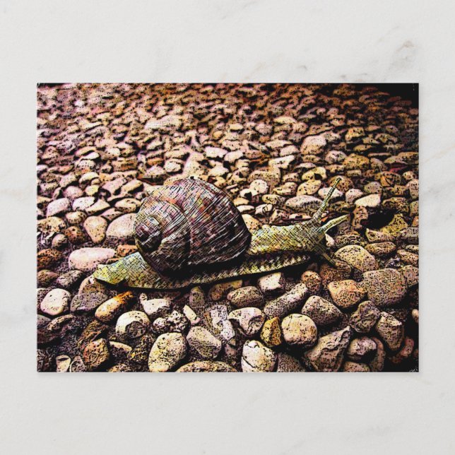 Carte Postale Escargot (Devant)