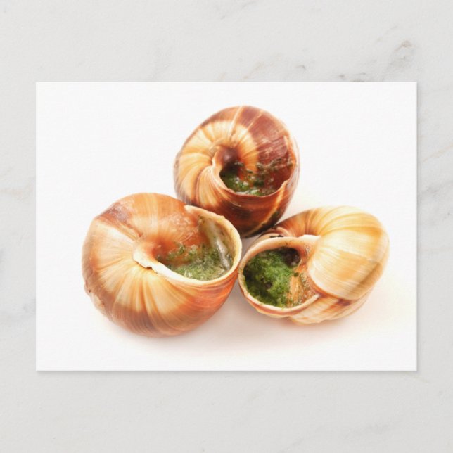 Carte Postale Escargots à la Bourguignonne (Devant)