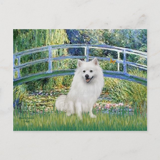 Carte Postale Eskimo Spitz 1 - Pont (Devant)