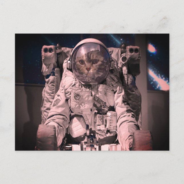 CARTE POSTALE ESPACE CAT ASTRONAUT (Devant)