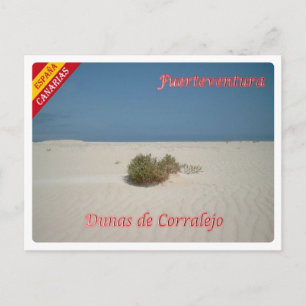Carte Postale Espagne - Îles Canaries - Fuerteventura -