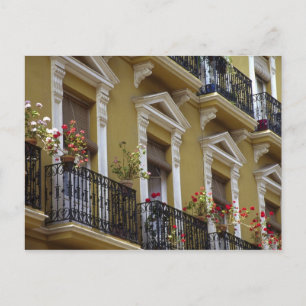 Carte Postale Espagne, Séville, Andalousie Géraniums pendent sur