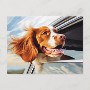 Carte Postale Espagnol breton dans la fenêtre de voiture