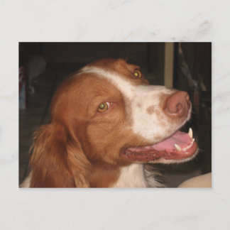 Carte Postale Espagnol breton souriant