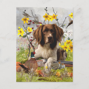 Carte Postale Espagnol Springer anglais, Art