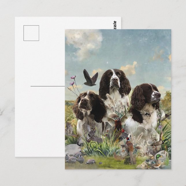 Carte Postale Espagnol Springer anglais, Art (Devant / Derrière)