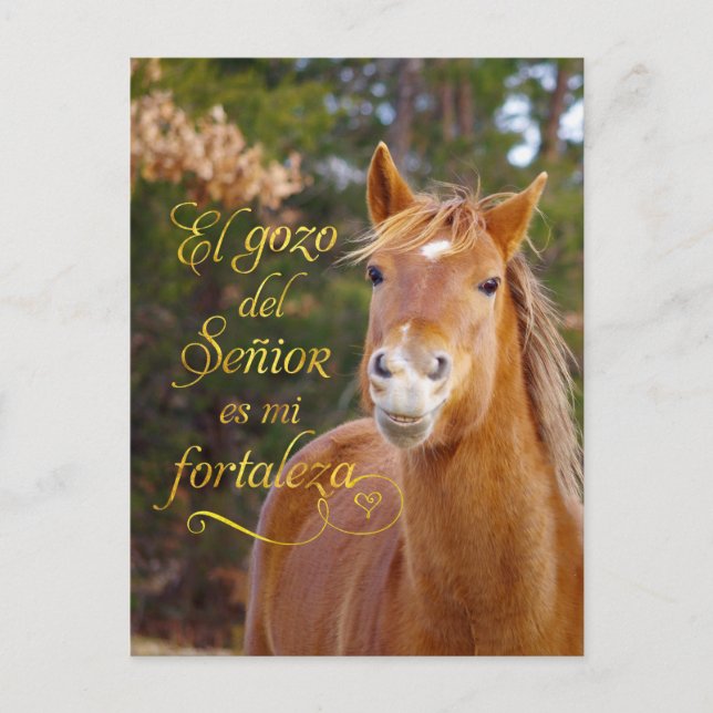 Carte postale espagnole Bible Verse Cheval Sourian (Devant)