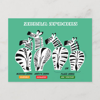 Carte postale Espèces Zebra