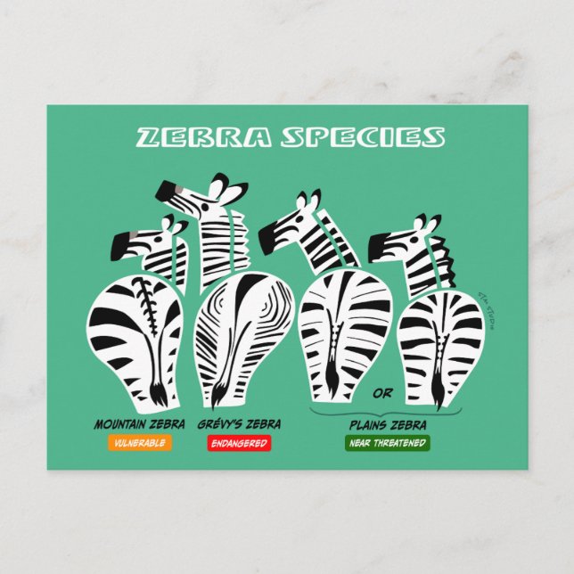Carte postale Espèces Zebra (Devant)