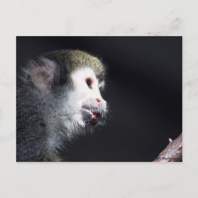 Carte postale "Espérance" (Devant)