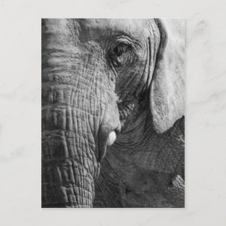 Carte Postale Espion d'oeil
