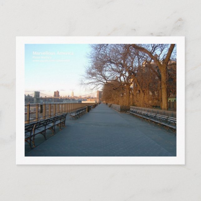 Carte Postale Esplanade de Brooklyn Heights (Devant)