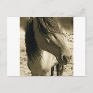 Carte Postale Esprit