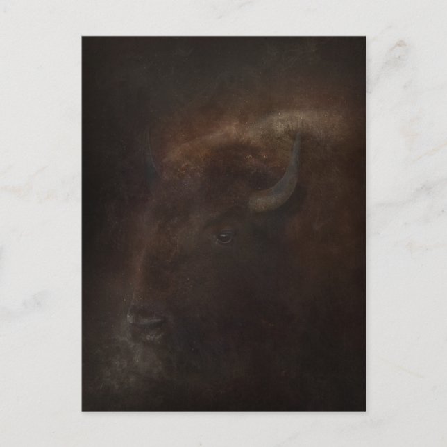 Carte Postale Esprit du Bison (Devant)