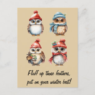 Carte Postale Esprits neigeux : Chouettes dans la chaleur de l'h