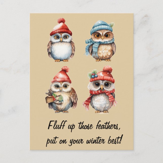 Carte Postale Esprits neigeux : Chouettes dans la chaleur de l'h (Devant)