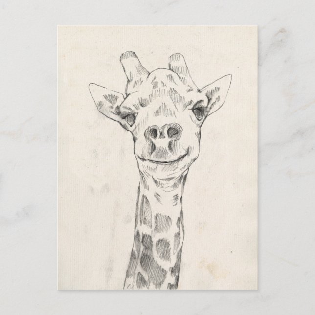 Carte Postale Esquisse de portrait de Giraffe (Devant)