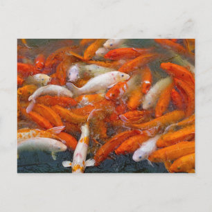 Carte Postale Essai de poisson d'or