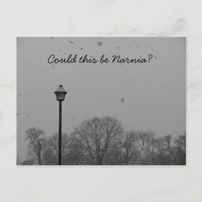 Carte Postale Est-ce que ceci a pu être Narnia ? (Devant)