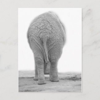 Carte Postale Est-ce que mon cul est gros
