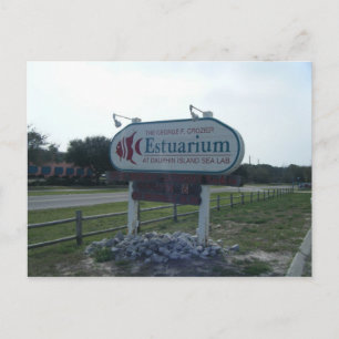 Carte postale Estuarium