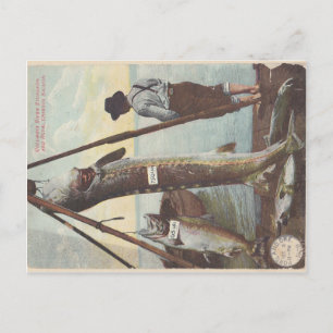 Carte postale Esturgeon & Saumon Catch