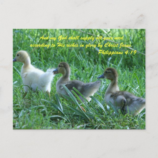 Carte Postale Et mon Dieu pourvoira à tous vos besoins selon (Devant)