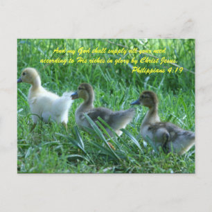 Carte Postale Et mon Dieu vous fournira tous vos besoins selon