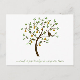 Carte Postale Et un perdrix dans un poirier