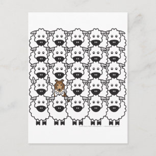 Carte Postale Étagère dans le mouton