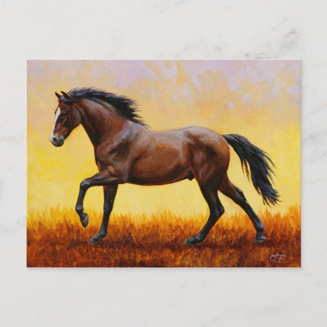 Carte Postale Étalon Cheval Bai Brun Galopant (Devant)
