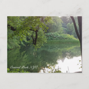 Carte Postale Étang aux tortues de Central Park New York en été