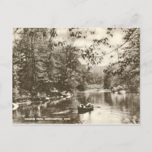 Carte Postale Étang du Paradis, Northampton MA Vintage (Devant)