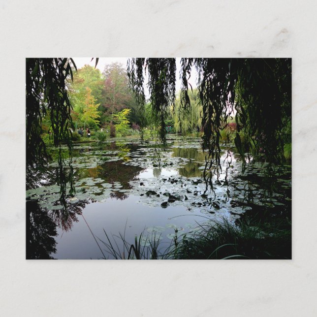 Carte Postale Étang Lily, Giverny, France (Devant)
