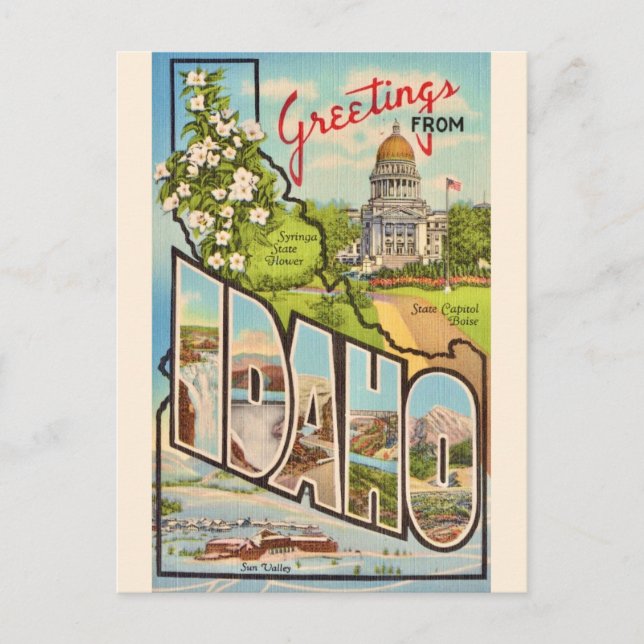 Carte Postale État de l'Idaho Salutation (Devant)