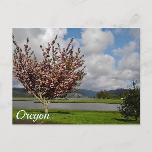 Carte Postale État de l'Oregon (Devant)