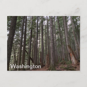 Carte Postale État de Washington