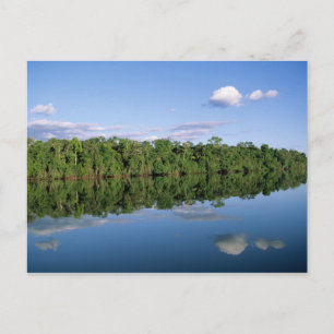 Carte Postale État du Mato Grosso, Amazonie, Brésil. Forêt