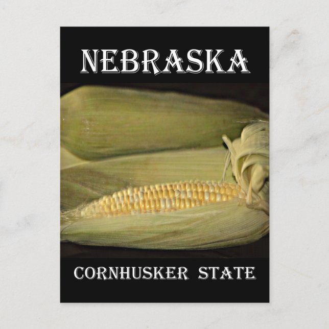 Carte Postale État du Nebraska Cornhusker (Devant)