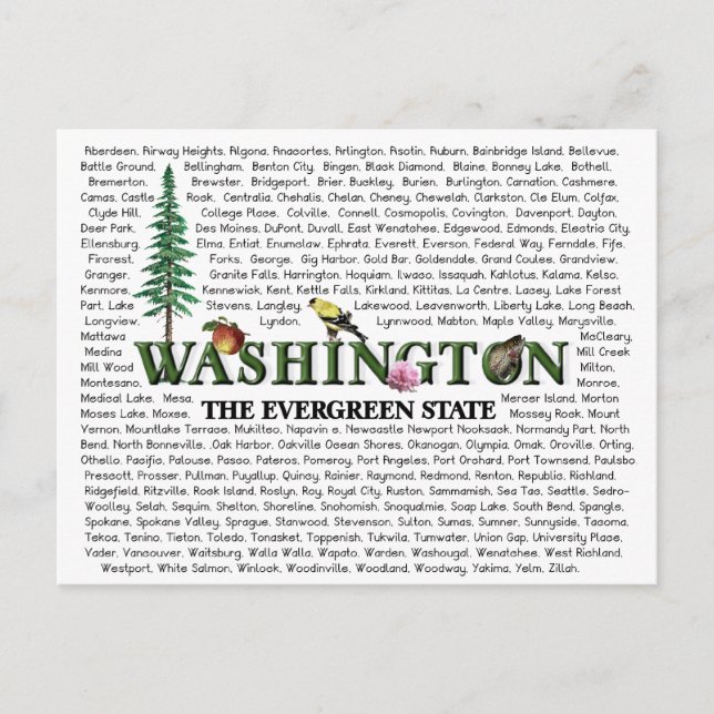 Carte Postale États américains - Washington Postcard (Devant)