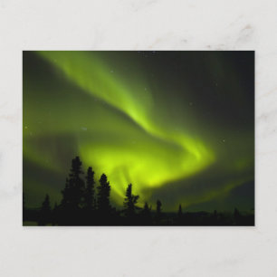 Carte Postale États-Unis, Alaska, Chena Hot Springs. Aurore boré
