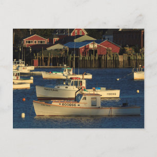 Carte Postale États-Unis, Amérique du Nord, Maine, Bernard, Pêch