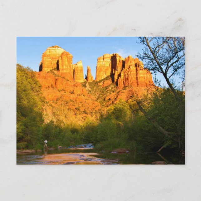 Carte Postale États-Unis, Arizona. Le Rocher De La Cathédrale Au (Devant)