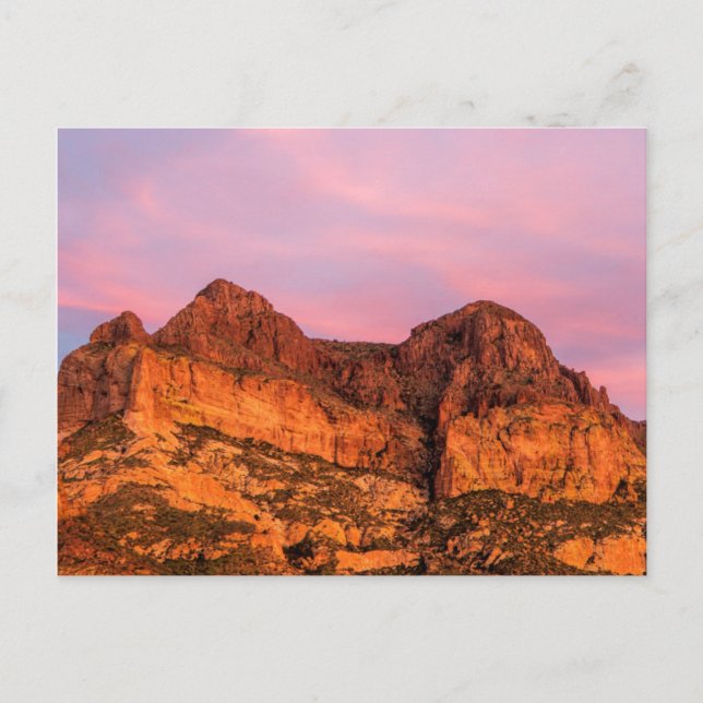 Carte Postale États-Unis, Arizona, Tonto National Forest, Picket (Devant)