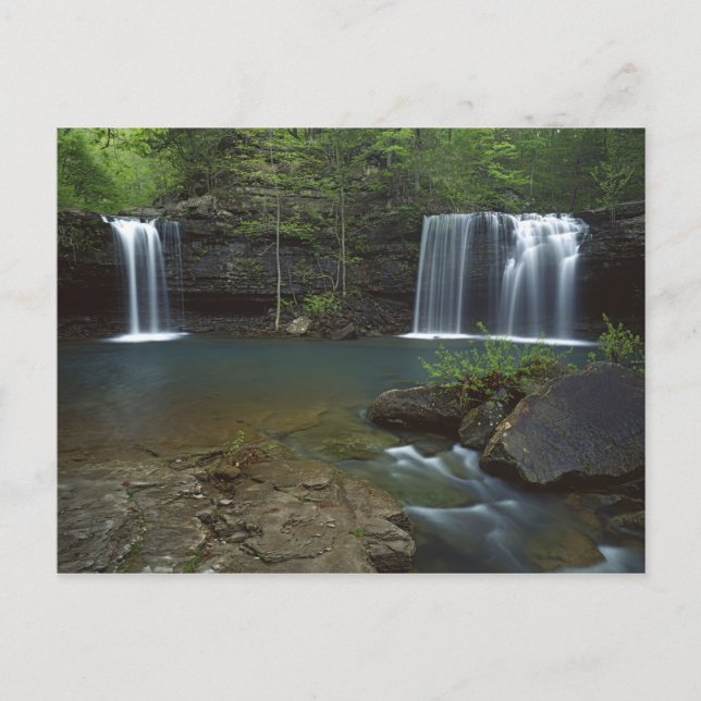 Carte Postale États-Unis, Arkansas, Ozark- St Francis National (Devant)