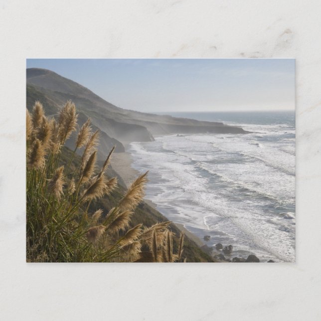 Carte Postale États-Unis, Californie, côte du Mendocino (Devant)