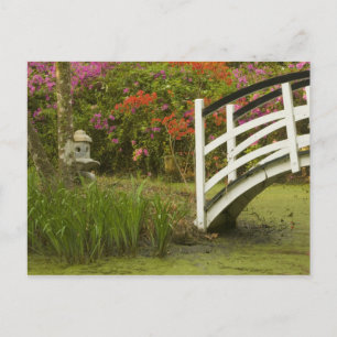 Carte Postale États-Unis; Caroline du Sud; Charleston;2